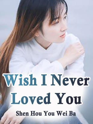 Wish I Never Loved You